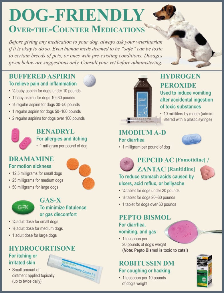 OTC pain meds for dogs