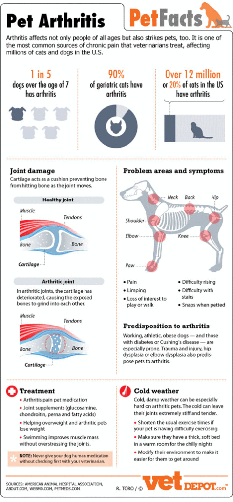 Pain in dogs due to arthritis