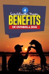 Physical and Social Benefits of Owning a Dog