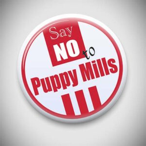 Say no to puppy mills