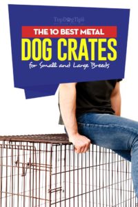 The 10 Best Metal Dog Crates for Small and Large Breeds