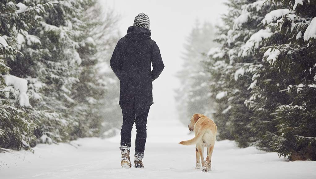 Tips for Walking Dogs In Winter