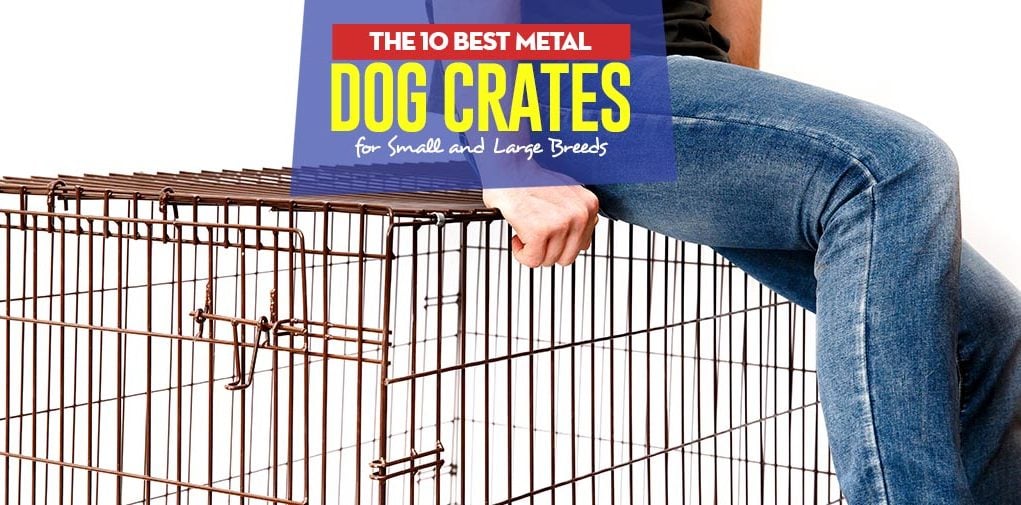 Top 10 Best Metal Dog Crates for Small and Large Breeds