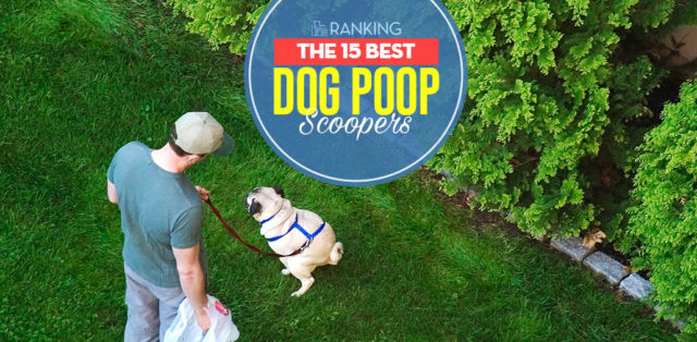 Top 15 Best Dog Poop Scoopers