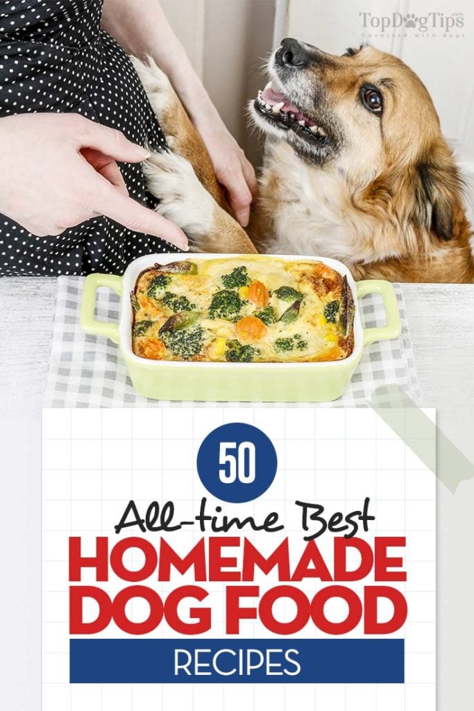 Top 50 Best Homemade Dog Food Recipes