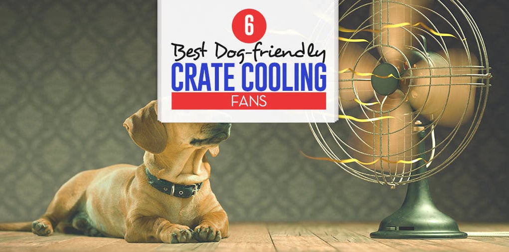 Top 6 Best Dog Crate Cooling Fans