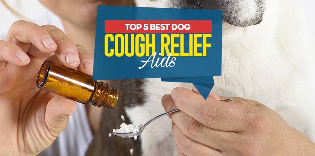 Top Best Dog Cough Relief Aids