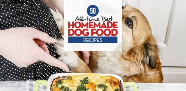 Top Best Homemade Dog Food Recipes