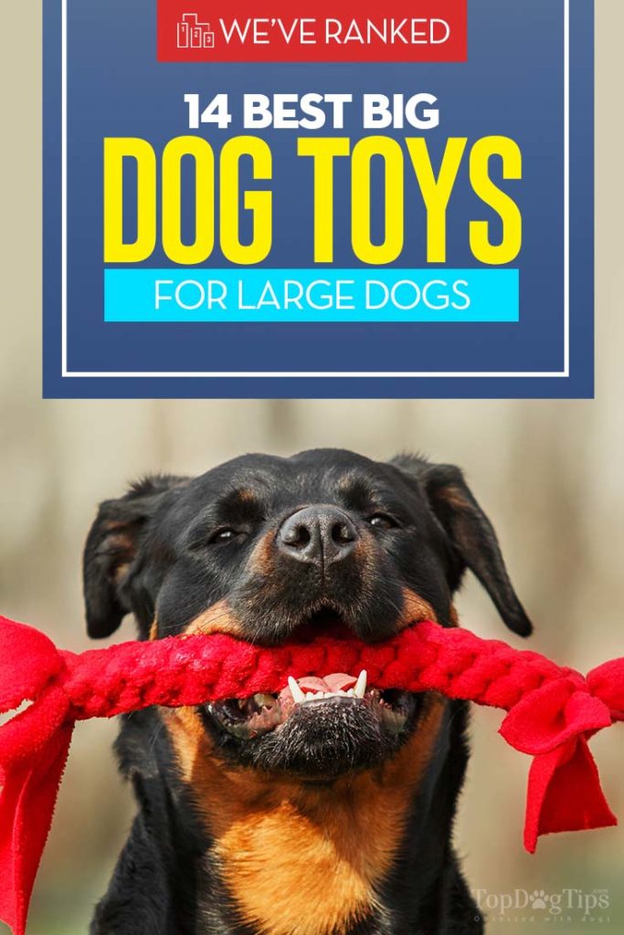 Top Rated Big Dog Toys for Large Breeds 2020