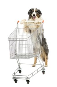 Best Black Friday Deals on Dog Supplies