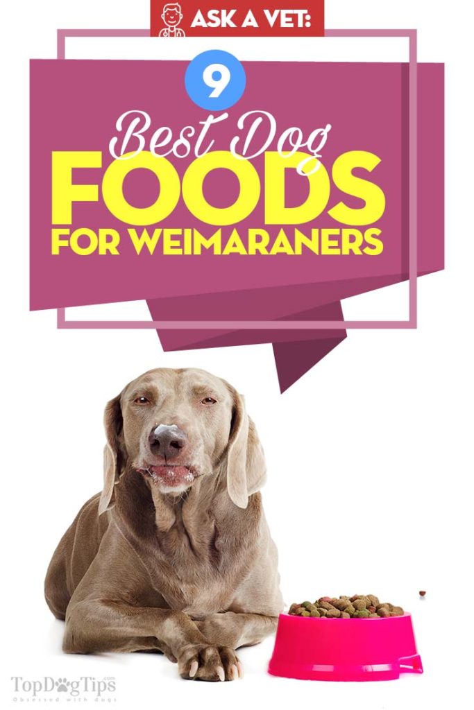 Best Dog Food for Weimaraners - Top 9 Vet Recommended Brands