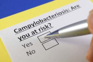 Campylobacteriosis Disease