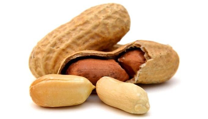 Can Dogs Eat Peanuts or Are Peanuts Bad for Dogs