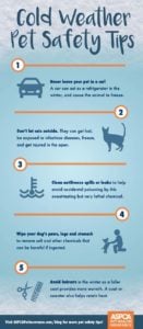 Cold Weather Dog Health Tips