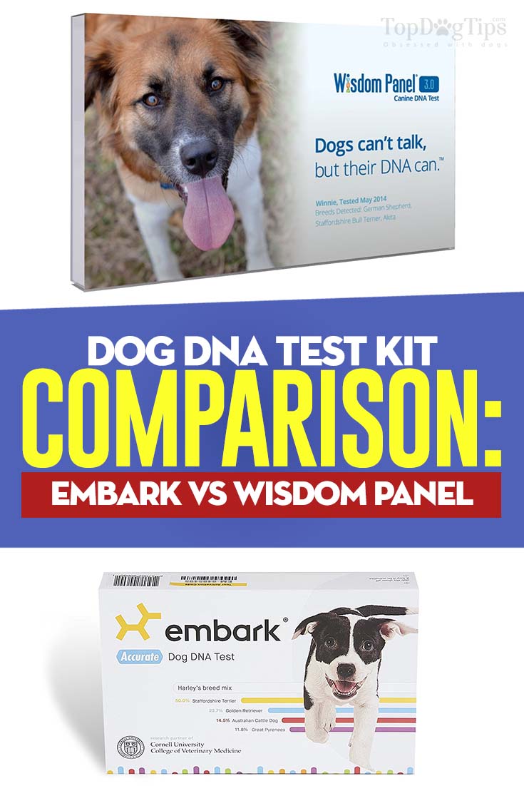 Dog DNA Kit Comparison