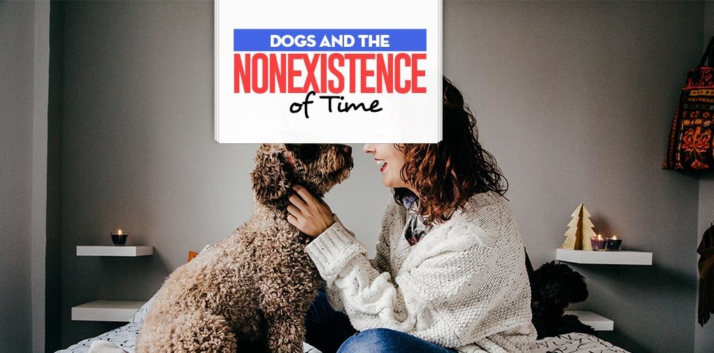 Dog Ownership and the Nonexistence of Time