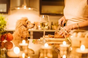 Dog Thanksgiving Safety Tips for Pet Owners