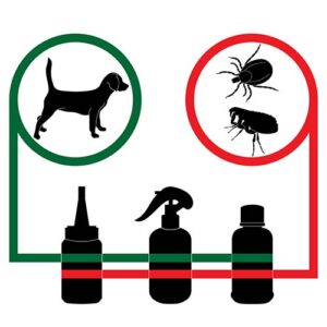 Dog flea treatments