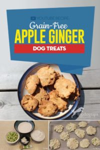 Healthy Grain-Free Apple Ginger Dog Treats