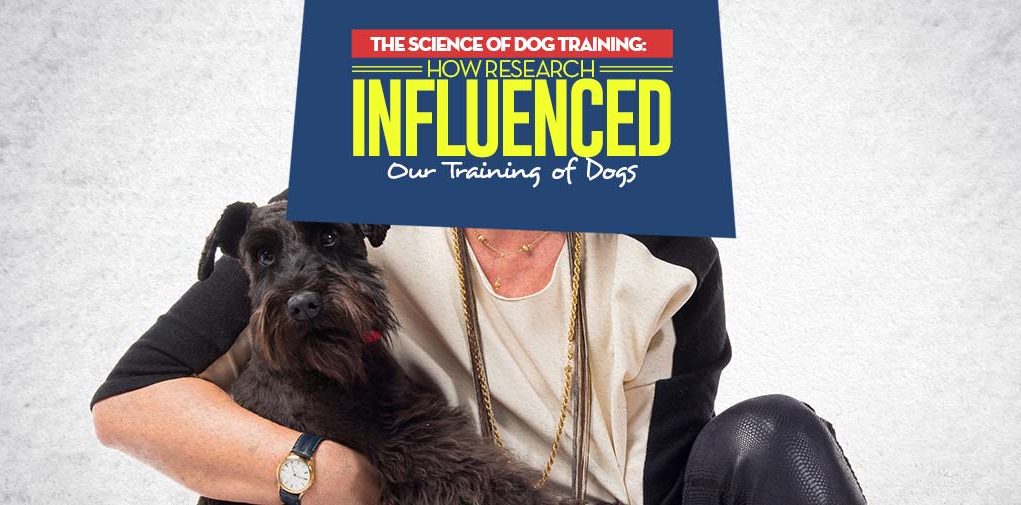 How Research Influenced Our Approach to Training Dogs