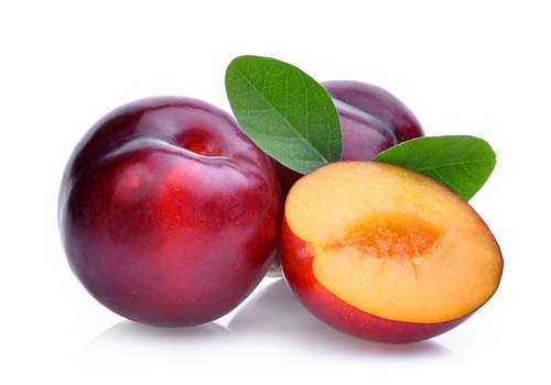 Plums for Dogs