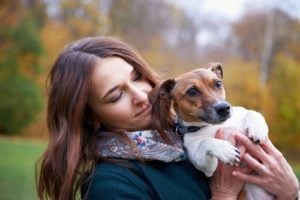 Should You Adopt A Jack Russell Terrier