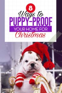 The 8 Ways to Puppy-Proof Your Home for Christmas