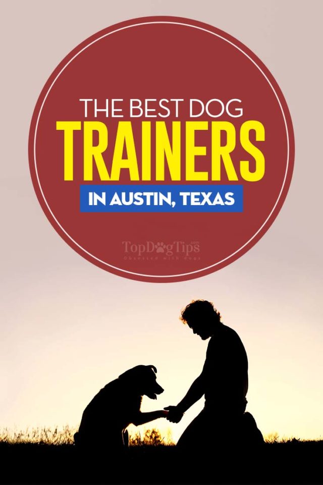 The Best Dog Trainers in Austin