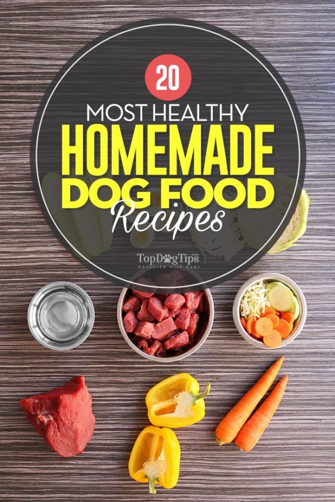 The Most Healthy Homemade Dog Food Recipes to Try