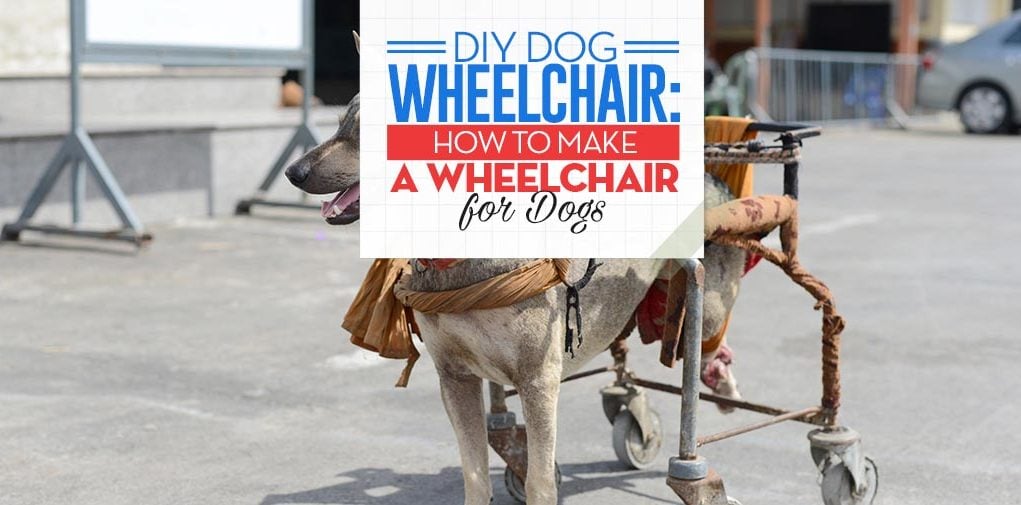 Tips for DIY Dog Wheelchair