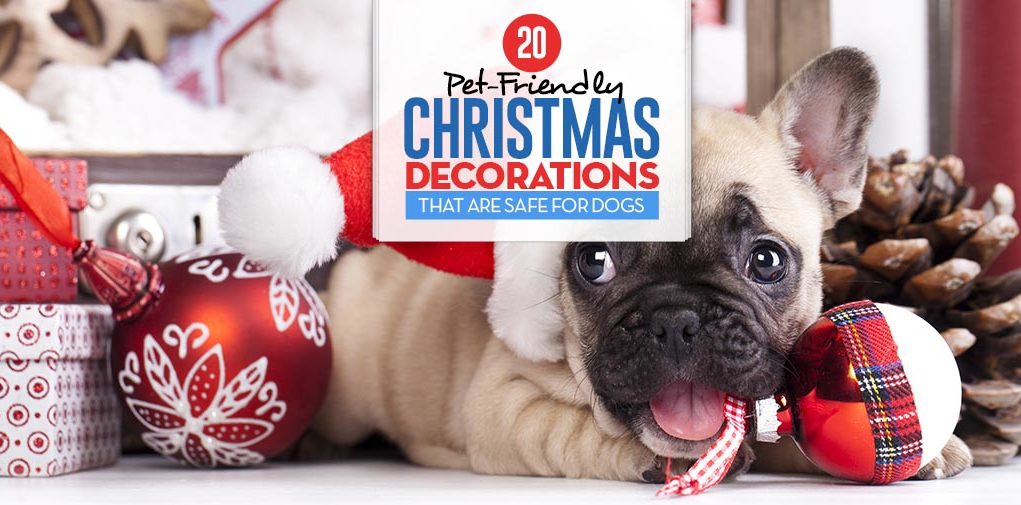 Top 20 Pet-Friendly Christmas Decorations Safe for Dogs