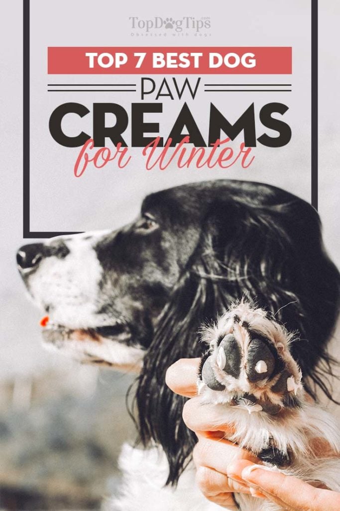 Top Rated Dog Paw Creams of 2020