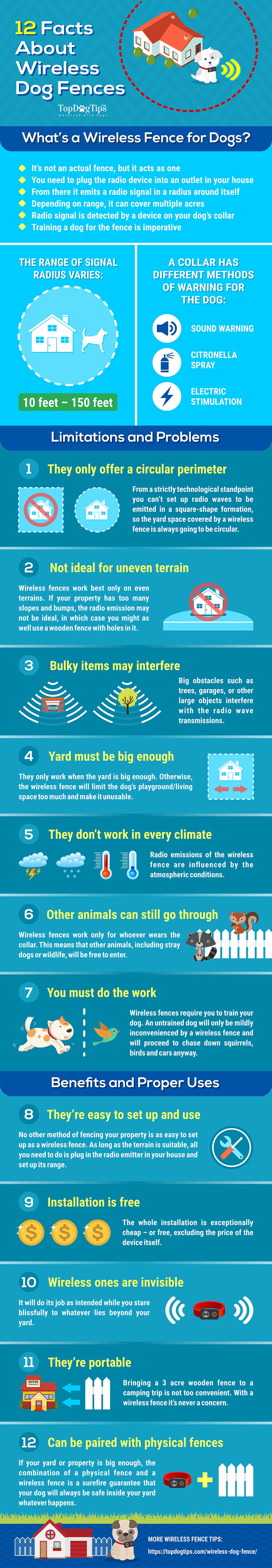 12 Pros and Cons of Wireless Dog Fence [Infographic]