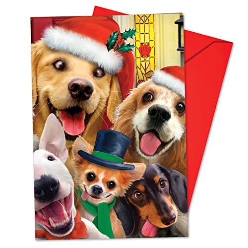 Christmas to Zoo Christmas Greeting Cards