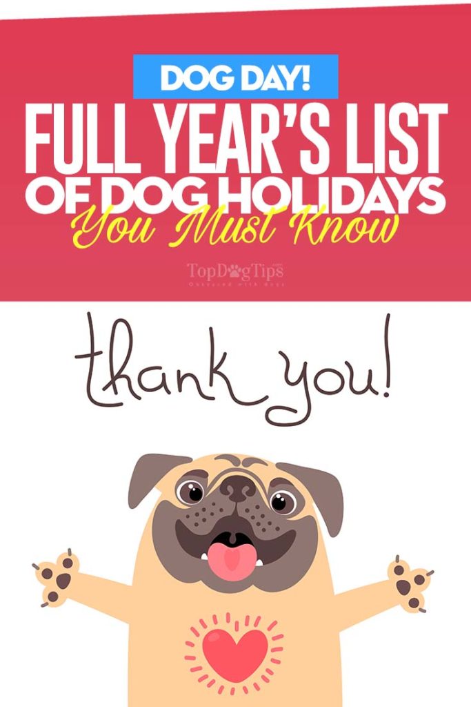 A Full Year’s List of All Dog Holidays