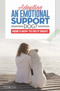 Adopting Emotional Support Dog