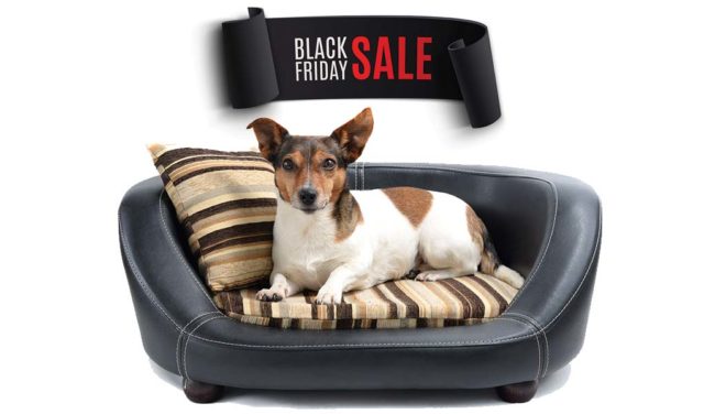 Best Black Friday Dog Beds Deals