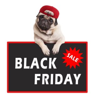 Black Friday Dog Beds Deals