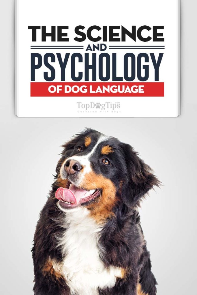 Canine Science and Psychology of Dog Language