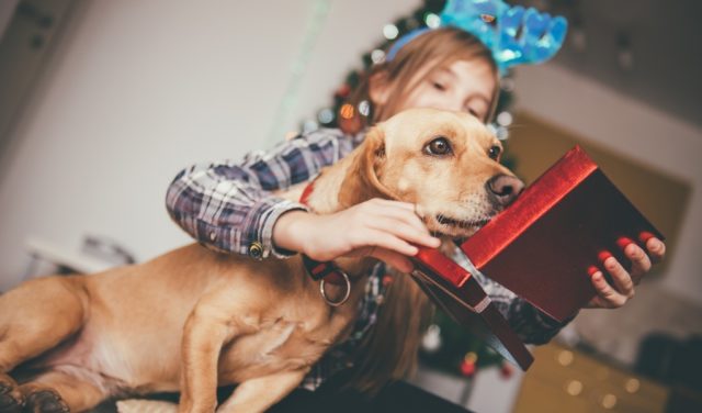 Christmas Gifts for Dog Lovers