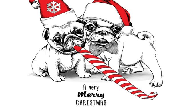 Dog Holiday Cards