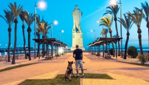 Dog Holiday Resort in Spain