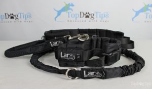 Larz Dog Products hands free leash system giveaway