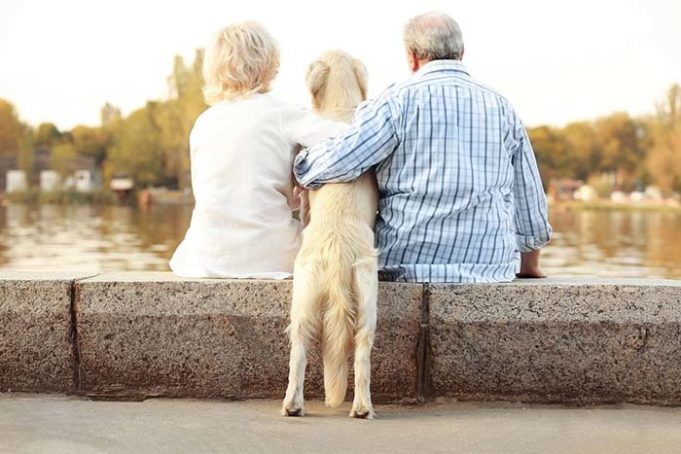 Study Finds Owning a Dog Can Help People Live Longer