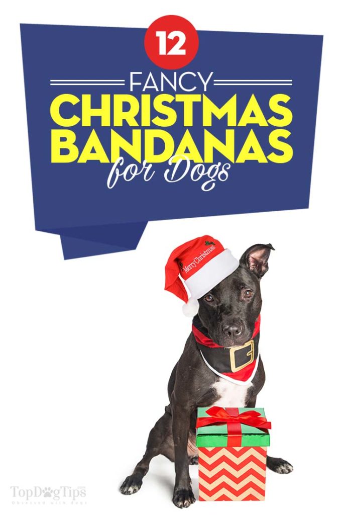 The Best Christmas Dog Bandanas