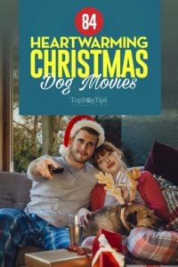 The Best Christmas Dog Movies