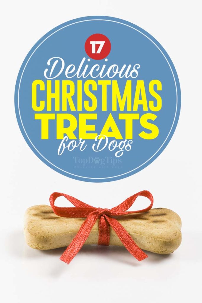 The Best Christmas Dog Treats