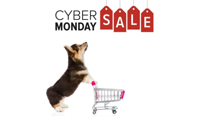 The Best Cyber Monday Deals on Dog Supplies