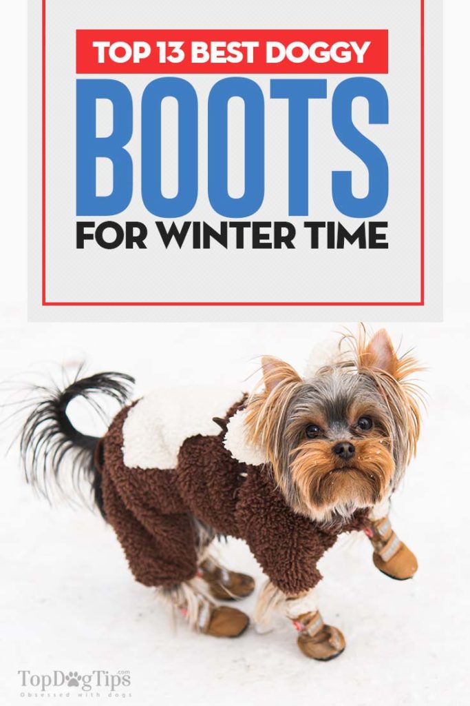 The Best Dog Boots for Winter