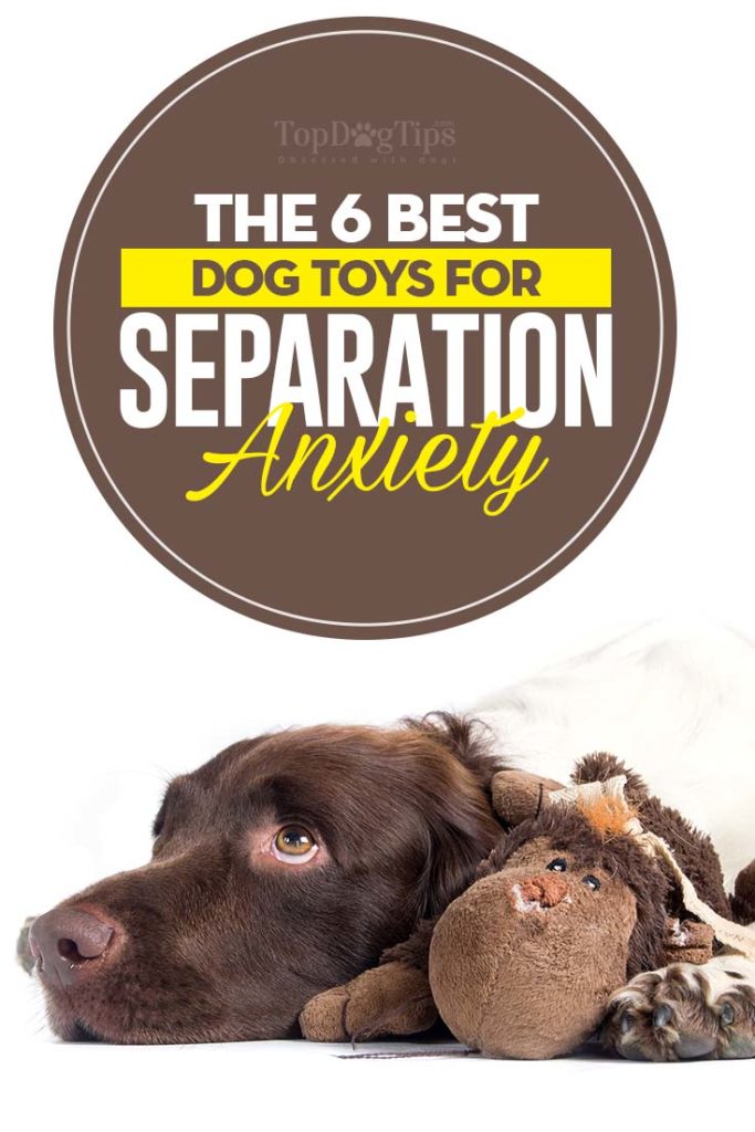 The Best Dog Toys for Separation Anxiety